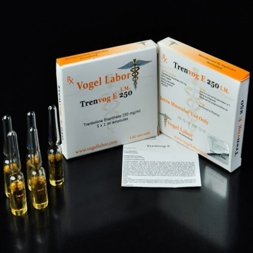 Vogellabor Trenbolone Enanthate 10 Ampül 250mg Vogellabor Trenbolone Enanthate 10 Ampül 250mg