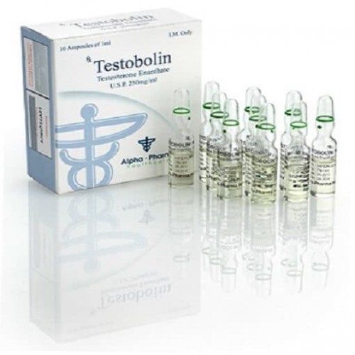 Alpha Pharma Testosterone Enanthate 250mg Alpha Pharma Testosterone Enanthate 250mg