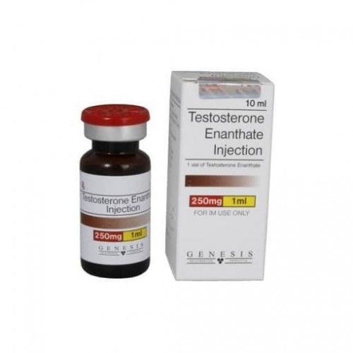Genesis Meds Testosterone Enanthate 250mg 10ml Genesis Meds Testosterone Enanthate 250mg 10ml