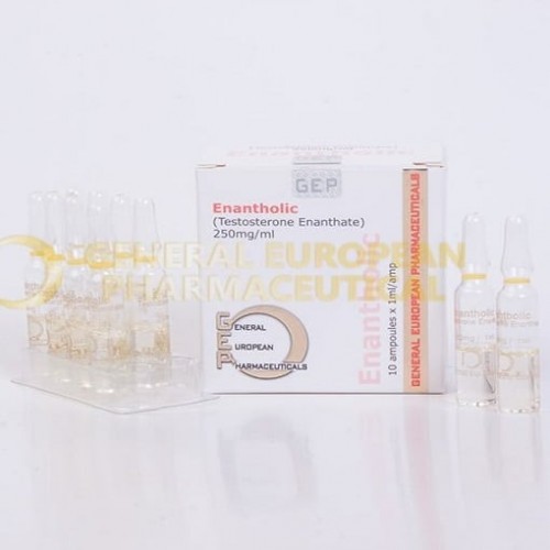 Gep Pharma Testosterone Enanthate 10 Ampül 250mg Gep Pharma Testosterone Enanthate 10 Ampül 250mg