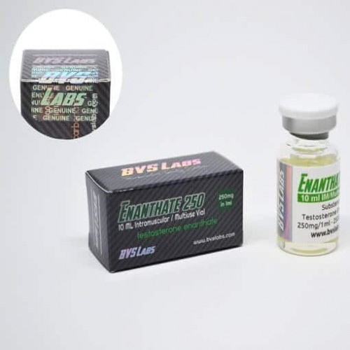 Bvs Labs Testosterone Enanthate 250mg 10ml 