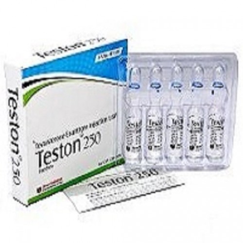 Shree Venkatesh Testosterone Enanthate 10 Ampül 250mg 