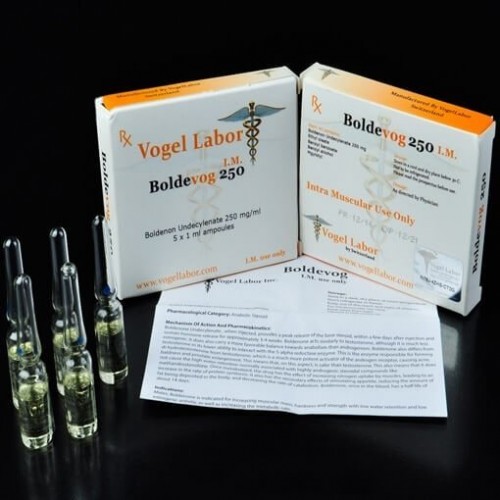 Vogellabor Boldenone Undecylenate 10 Ampül 250mg 