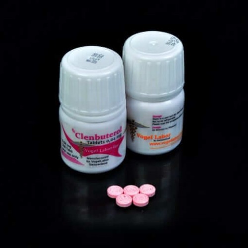 Vogellabor Clenbuterol 100 Tablet 40mcg 